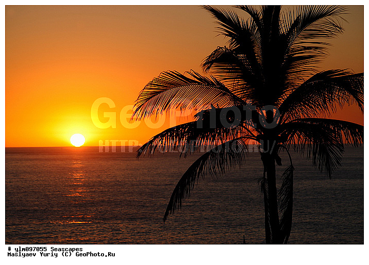 �����, ����, ������� ������, ������, ������