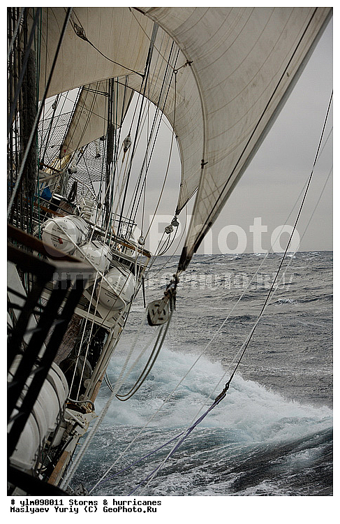 �����, ��������, �������� �����, ������, �����, ����