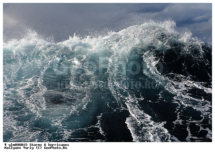 �����, ������, �����