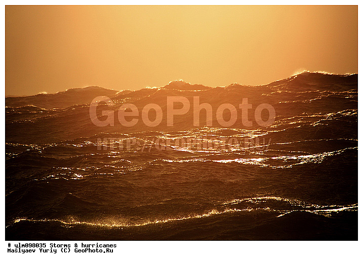 �����, ������, �����