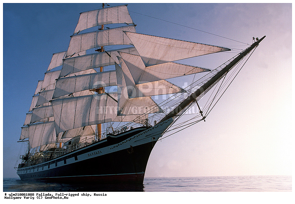 �������� �������, �������, ����������� �������, ����� � ������ �������� �����������, ������






