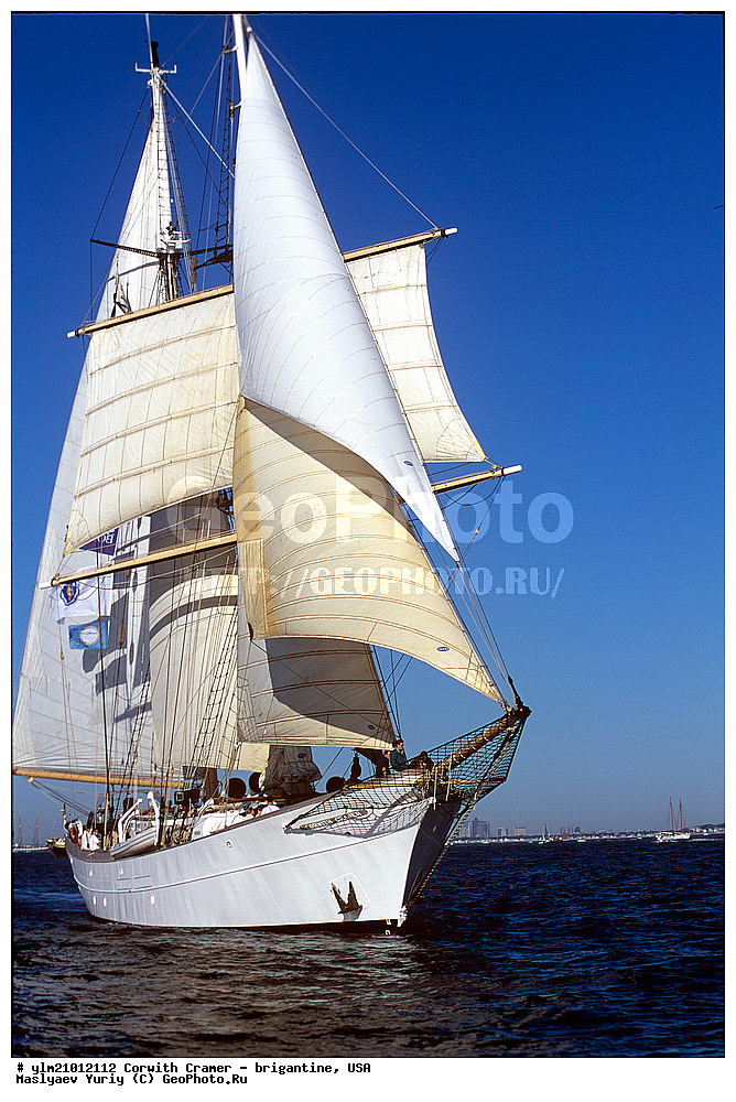 ��������, �������� �����, ������, ��� ��������, ��� �������, ����������, ������ ������