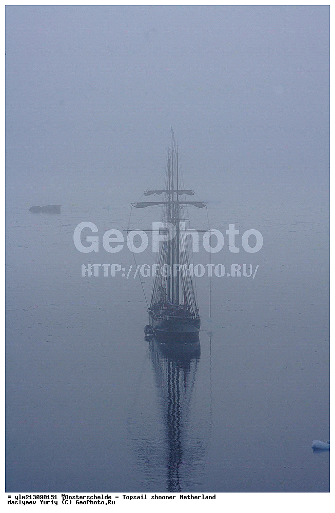 ��������, �������� �����, ������, ��� ��������, ��� �������, 	Oosterschelde, ����������