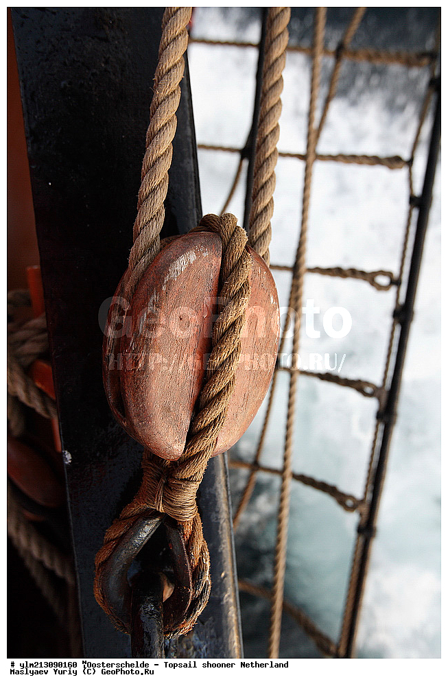 ��������, �������� �����, ������, ��� ��������, ��� �������, 	Oosterschelde, ����������