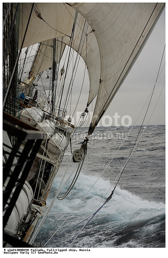 �������� �������, �������, ����������� �������, ����� � ������ �������� �����������, ������






