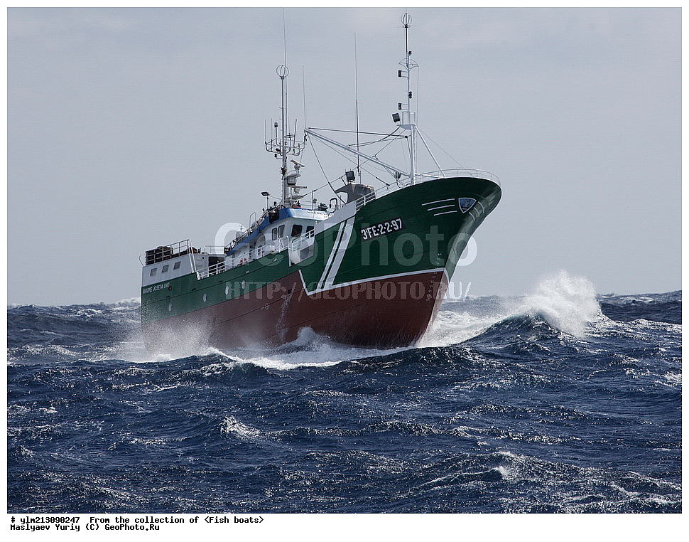 ����, �������, ������������ ����, ��������, ������, ������������, �������