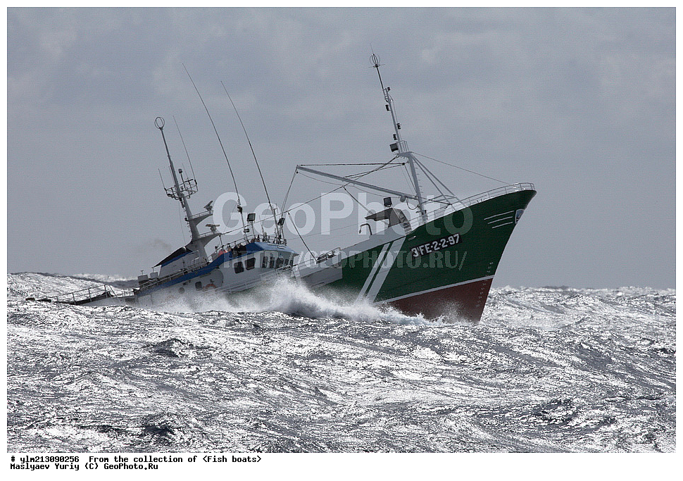 ����, �������, ������������ ����, ��������, ������, ������������, �������