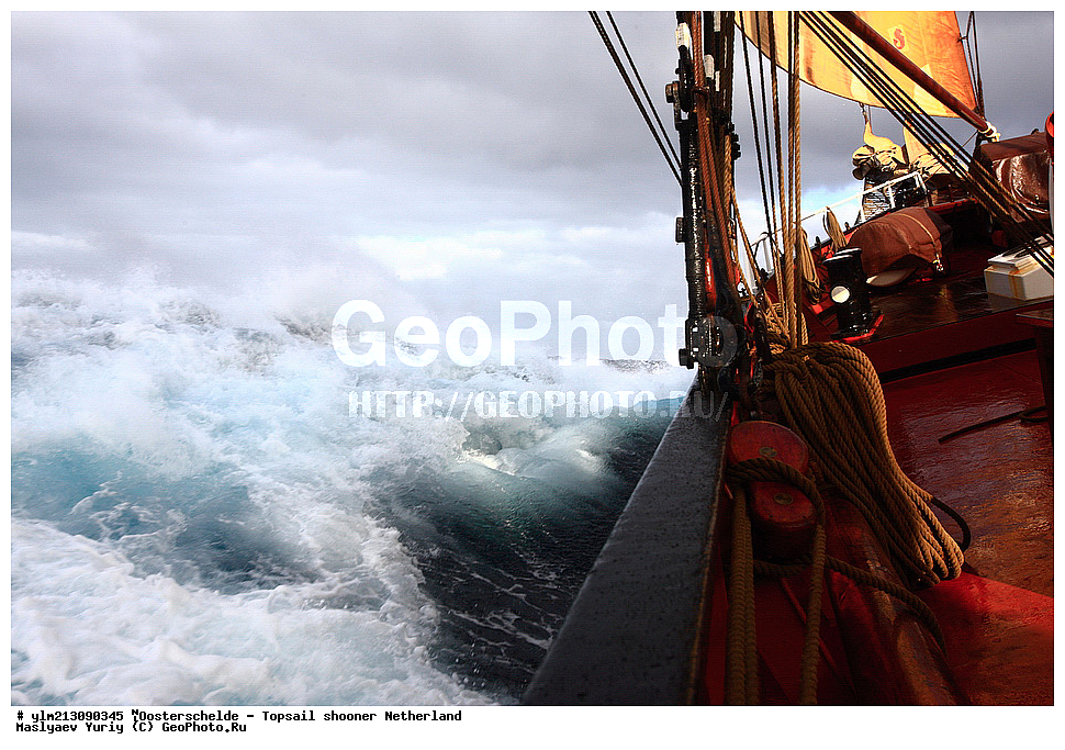 ��������, �������� �����, ������, ��� ��������, ��� �������, 	Oosterschelde, ����������, ������� �������