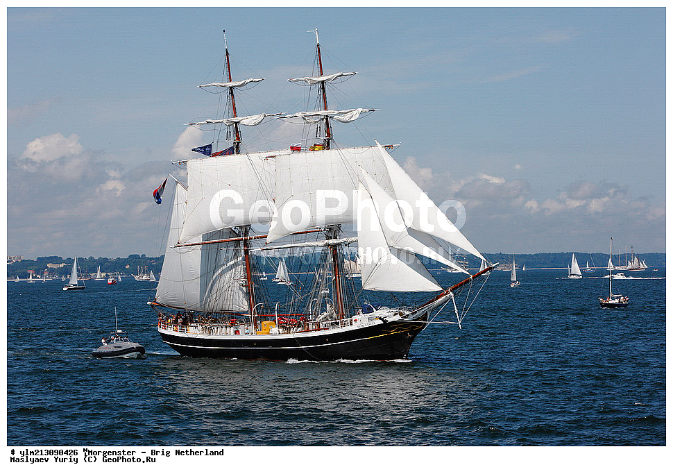 ��������, �������� �����, ������, ��� ��������, ��� �������, 