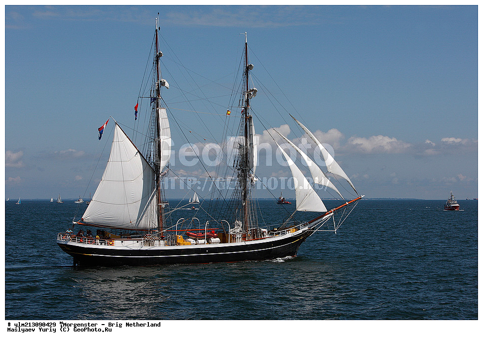 ��������, �������� �����, ������, ��� ��������, ��� �������, 