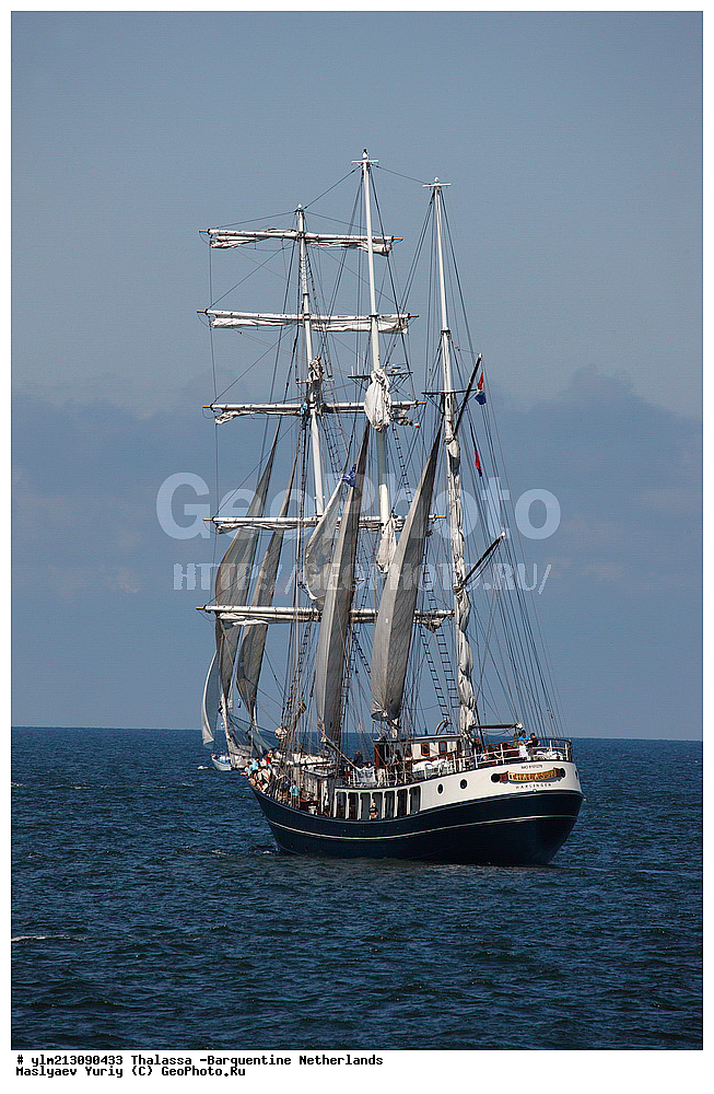 ��������, �������� �����, ������, ��� ��������, ��� �������