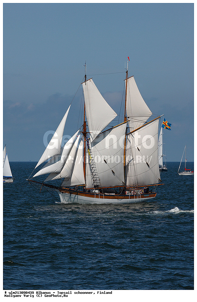 ��������, �������� �����, ������, ��� ��������, ��� �������, ��������