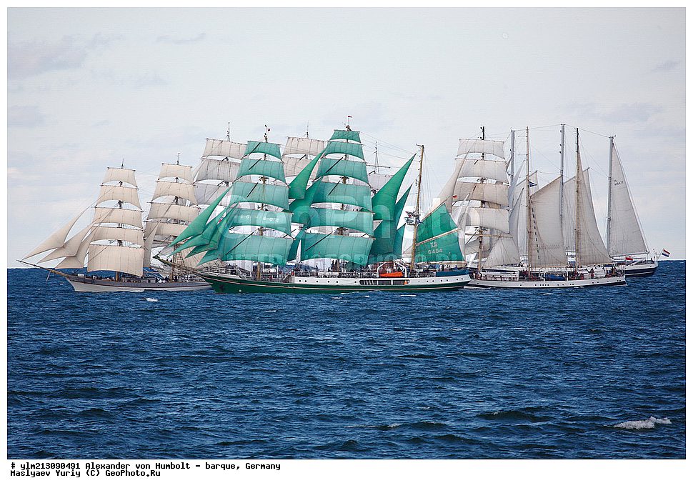 ��������, �������� �����, ������, ��� ��������, ��� �������, ���������� ��� ���������,����, ��������