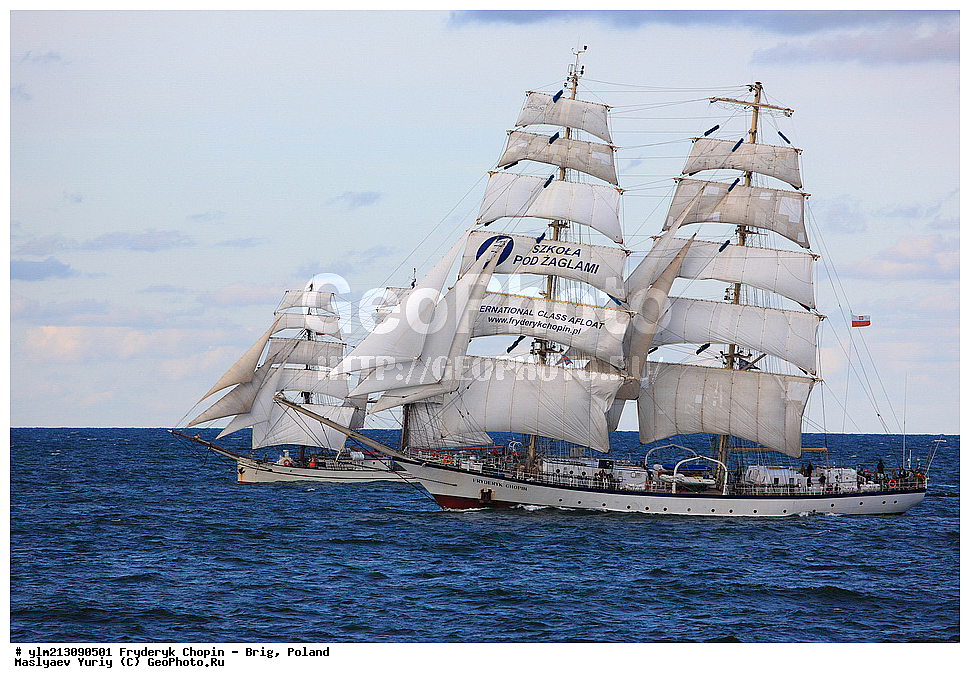 ��������, �������� �����, ������, ��� ��������, ��� �������, 	�������� �����