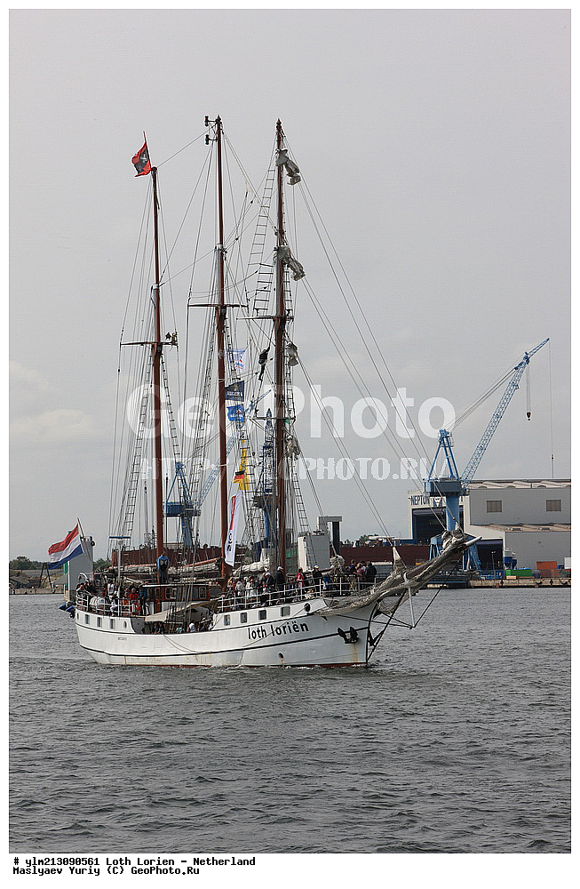 ��������, �������� �����, ������, ��� ��������, ��� �������, 	