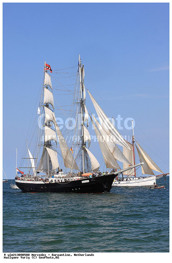 ��������, �������� �����, ������, ��� ��������, ��� �������, ��������, ���������� 