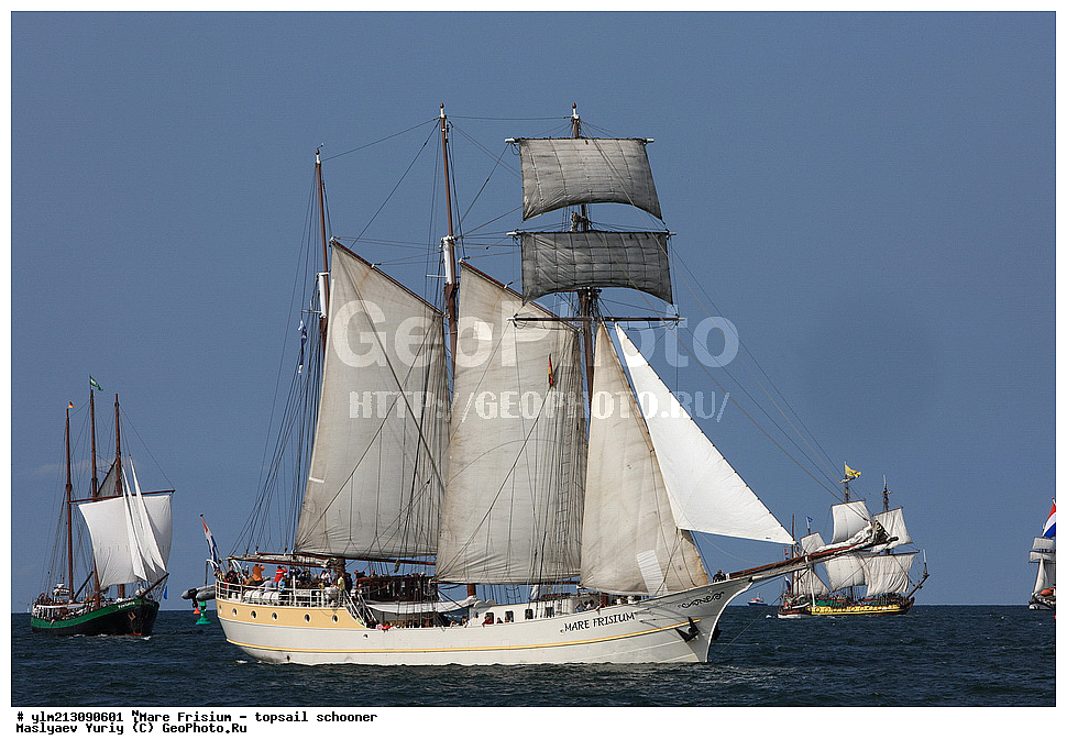 ��������, �������� �����, ������, ��� ��������, ��� �������, ����� ����	 