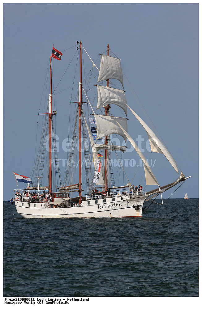 ��������, �������� �����, ������, ��� ��������, ��� �������, 	