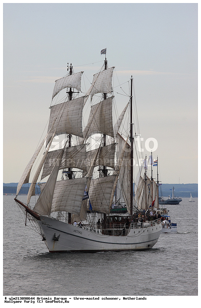 ��������, �������� �����, ������, ��� ��������, ��� �������, ������������ �������, ����������, �������