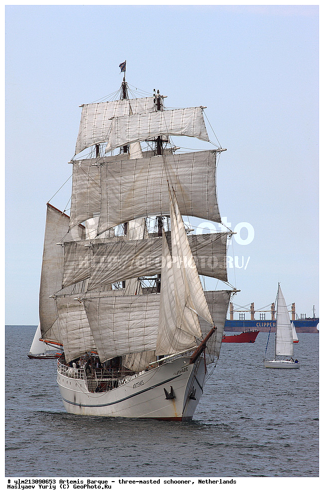 ��������, �������� �����, ������, ��� ��������, ��� �������, ������������ �������, ����������, �������