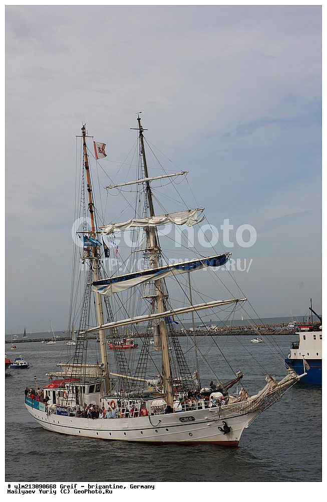 ��������, �������� �����, ������, ��� ��������, ��� �������, 	