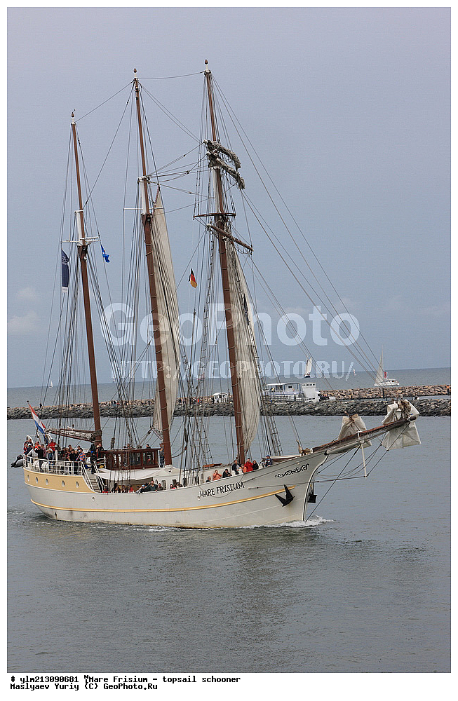 ��������, �������� �����, ������, ��� ��������, ��� �������, ����� ����	 