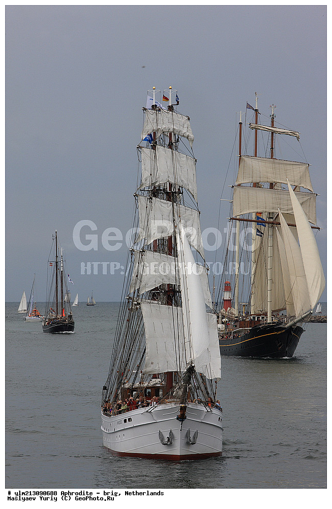 ��������, �������� �����, ������, ��� ��������, ��� �������, ������������ �������, ��������, ����, ����������