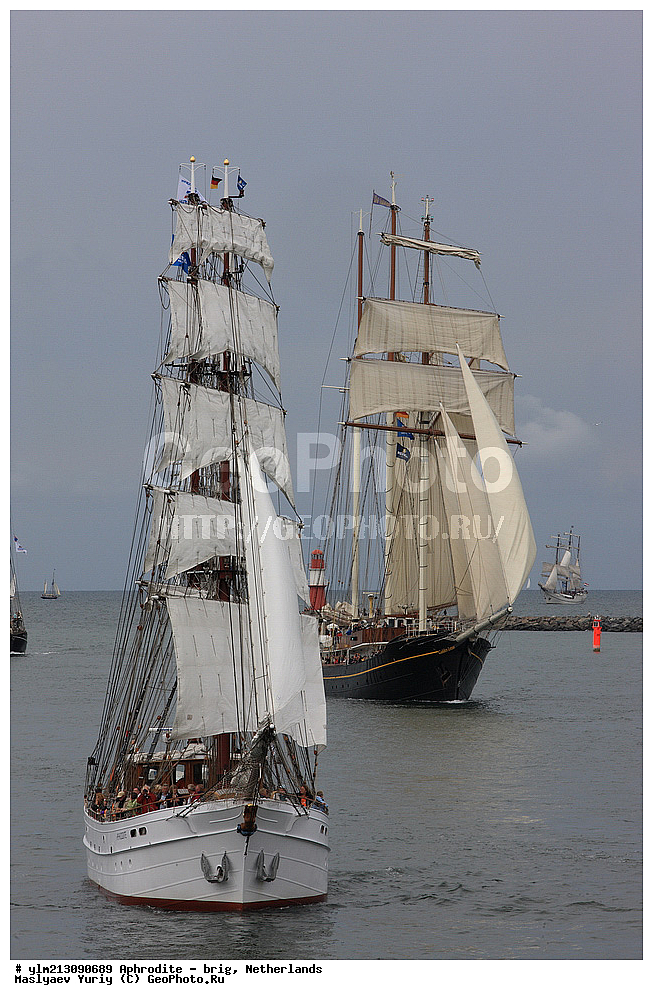 ��������, �������� �����, ������, ��� ��������, ��� �������, ������������ �������, ��������, ����, ����������