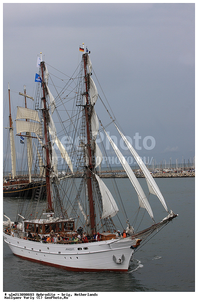 ��������, �������� �����, ������, ��� ��������, ��� �������, ������������ �������, ��������, ����, ����������