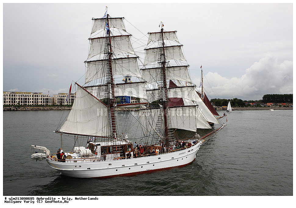 ��������, �������� �����, ������, ��� ��������, ��� �������, ������������ �������, ��������, ����, ����������