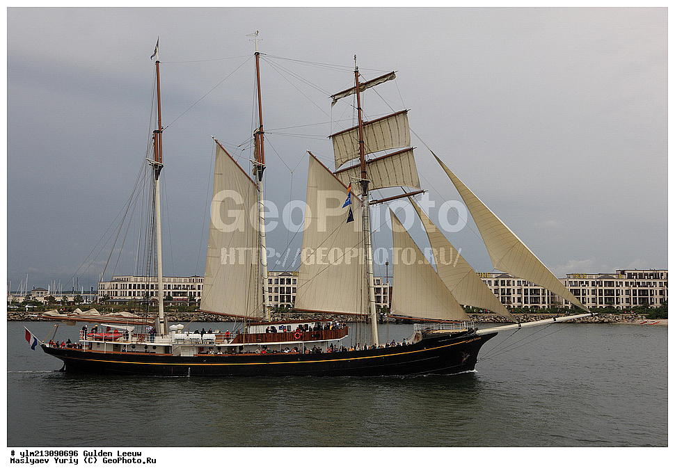 ��������, �������� �����, ������, ��� ��������, ��� �������, ������� ���  