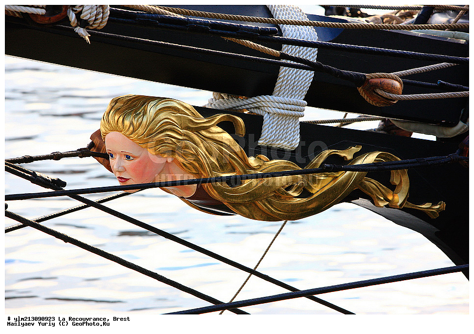 ��������, �������� �����, ������, ��� ��������, ��� �������, 	���������