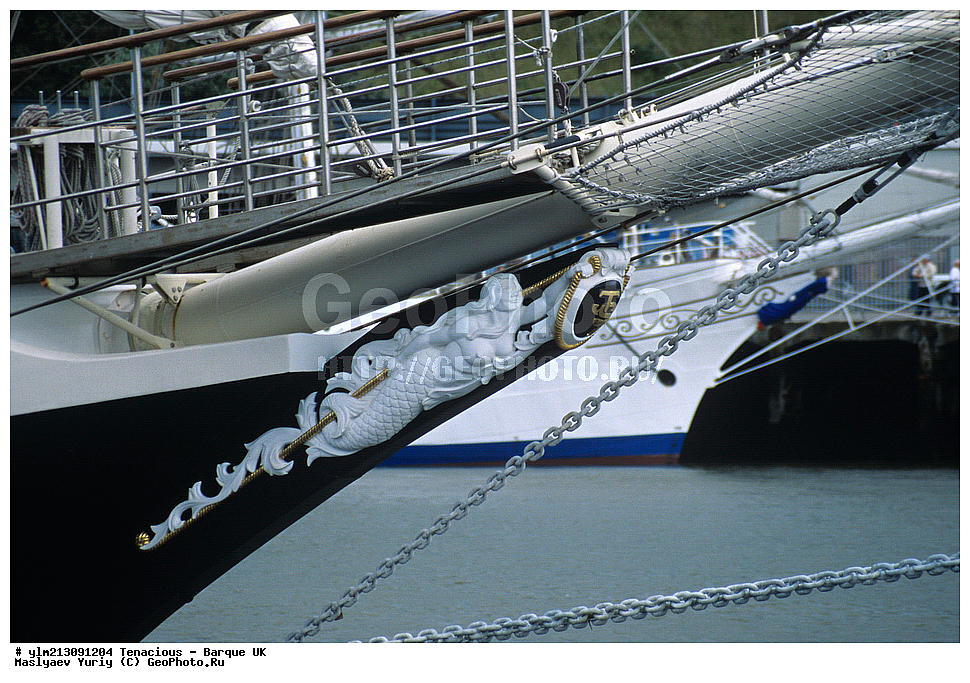 ��������, �������� �����, ������, ��� ��������, ��� �������