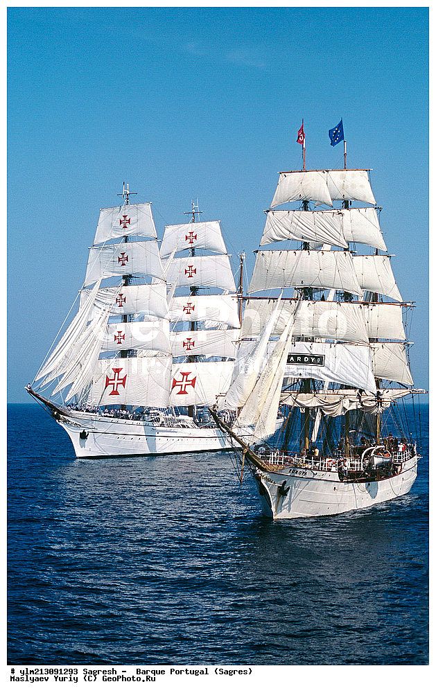  ��������, �������� �����, ������, ��� ��������, ��� �������, 		