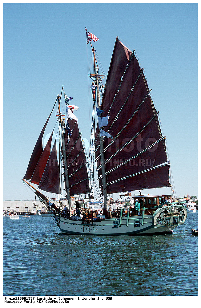 ��������, �������� �����, ������, ��� ��������, ��� �������, 	�������