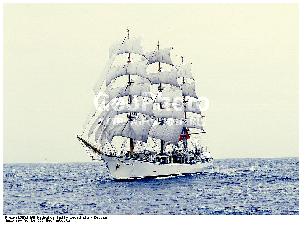 �������� �������, �������, ����������� �������, ����� � ������ �������� �����������, ������






