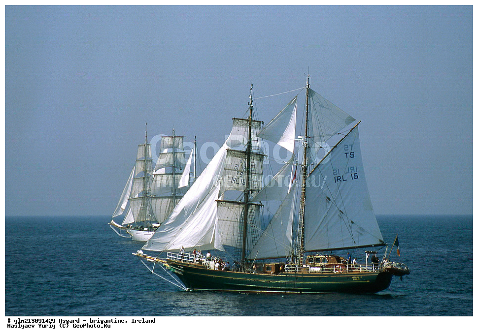 ��������, �������� �����, ������, ��� ��������, ��� �������, ������������ �������, ������