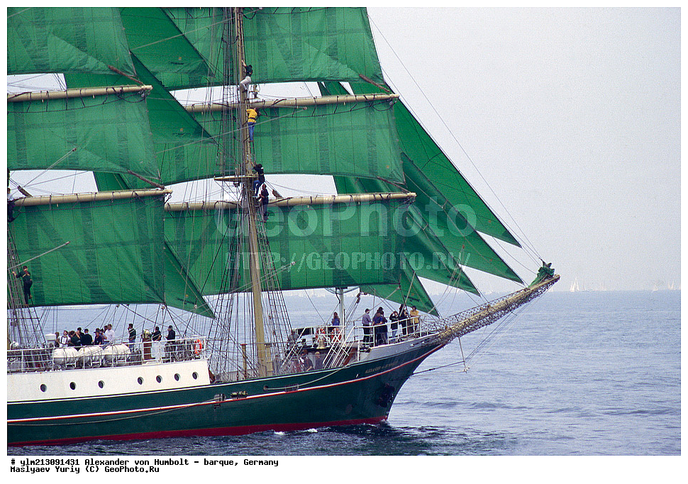 ��������, �������� �����, ������, ��� ��������, ��� �������, ���������� ��� ���������,����, ��������