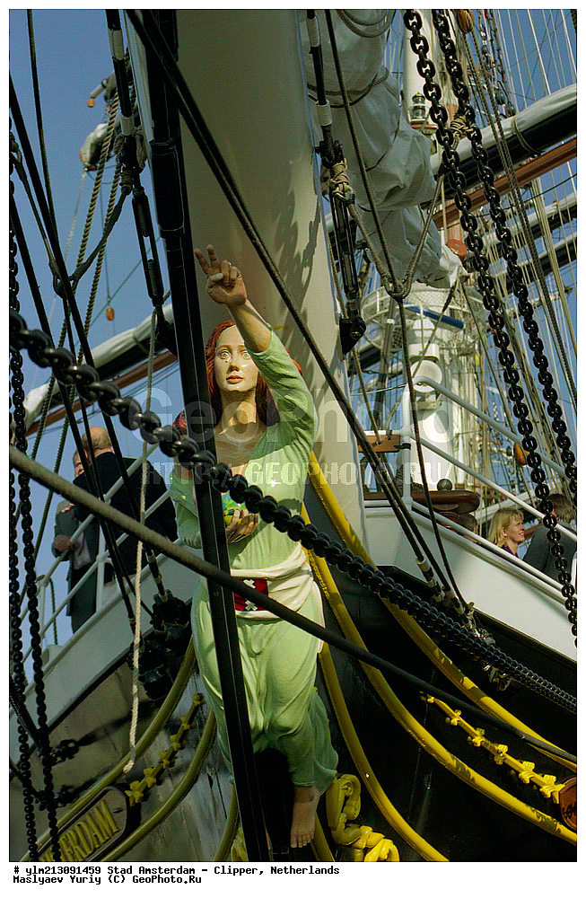 ��������, �������� �����, ������, ��� ��������, ��� �������, 	