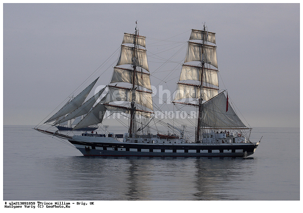 ��������, �������� �����, ������, ��� ��������, ��� �������, 	Prince William