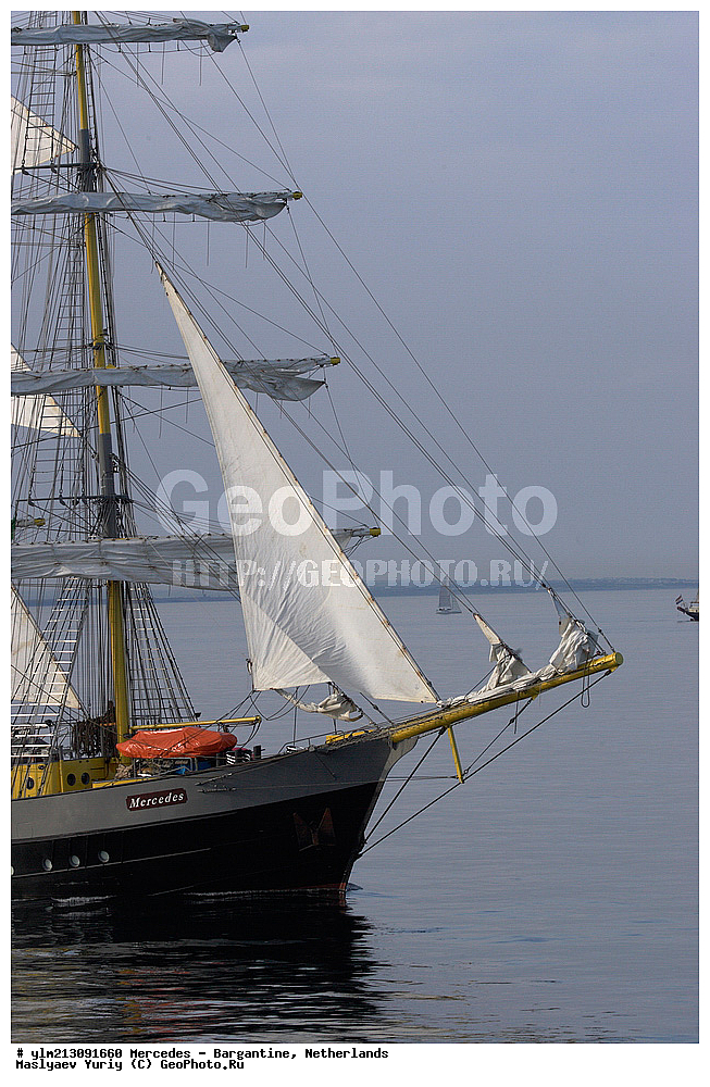 ��������, �������� �����, ������, ��� ��������, ��� �������, ��������, ���������� 