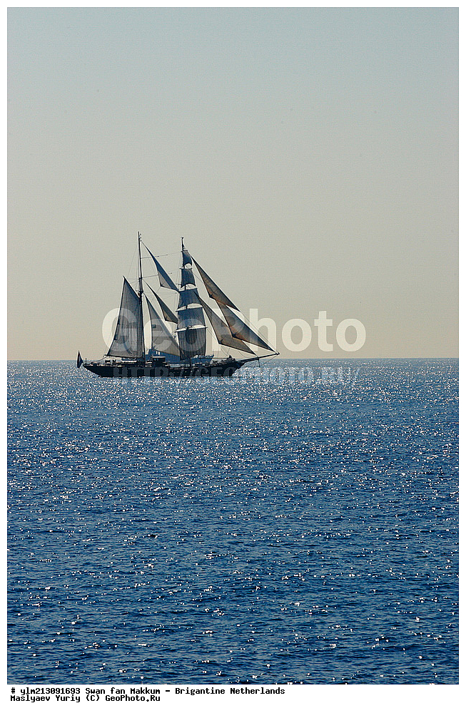 ��������, �������� �����, ������, ��� ��������, ��� �������, Sunthorice	