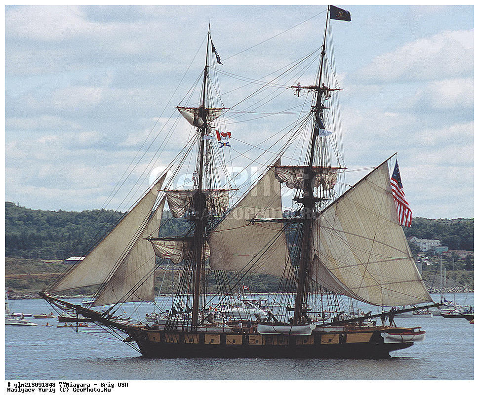 ��������, �������� �����, ������, ��� ��������, ��� �������, 