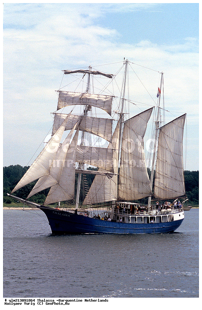 ��������, �������� �����, ������, ��� ��������, ��� �������