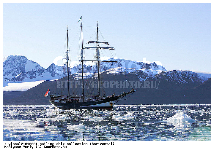 ��������, �����, ����, �����, �����, ���������, �����, �����