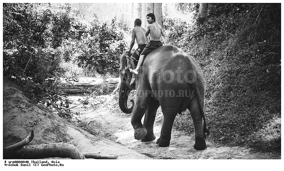 �������, ����, ������, ����, �����, ������������, ��������, ��������, ����,  ����, �������