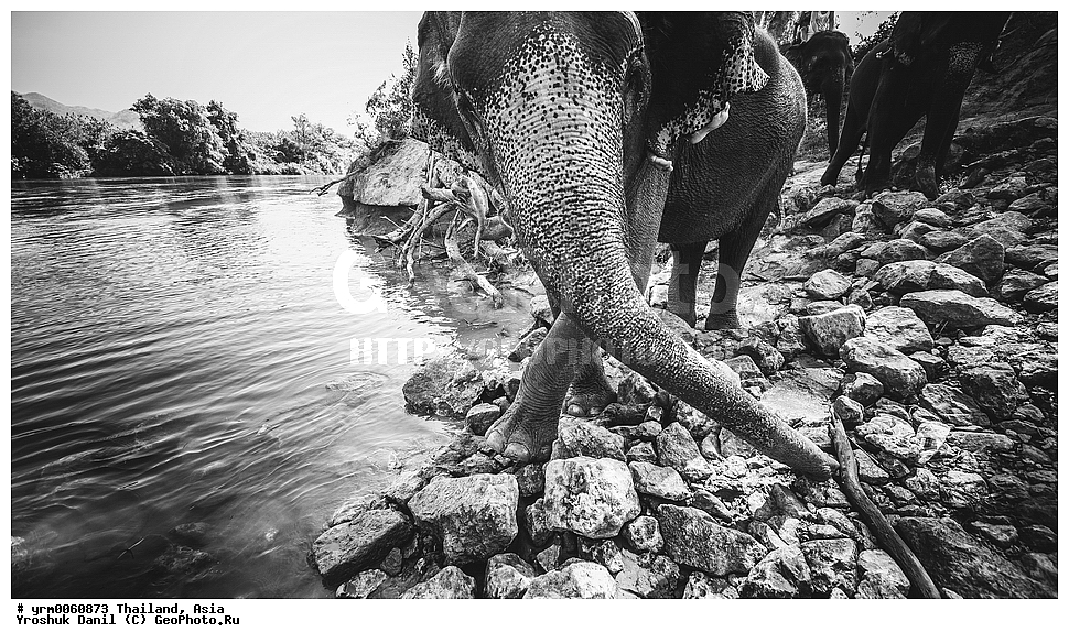 �������, ����, ����, �����, ������, ������������, ������