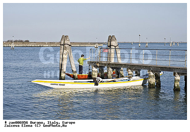 ������, ������