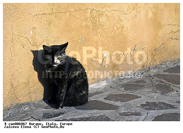 ������, ������