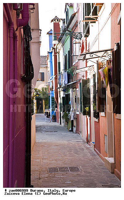 ������, ������